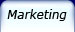 Web Marketing